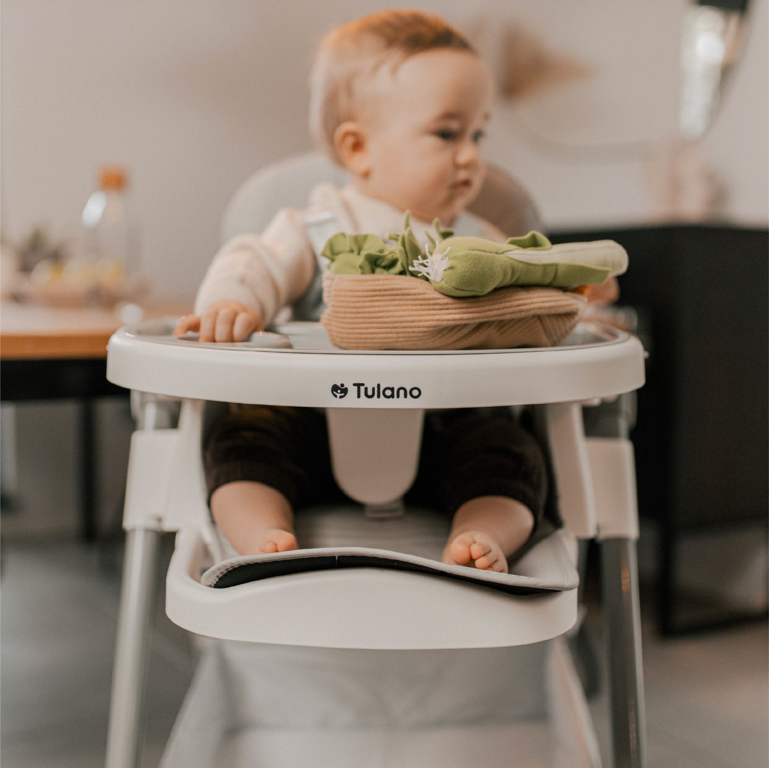 Skládací jídelní židlička Tulano Morsel 30