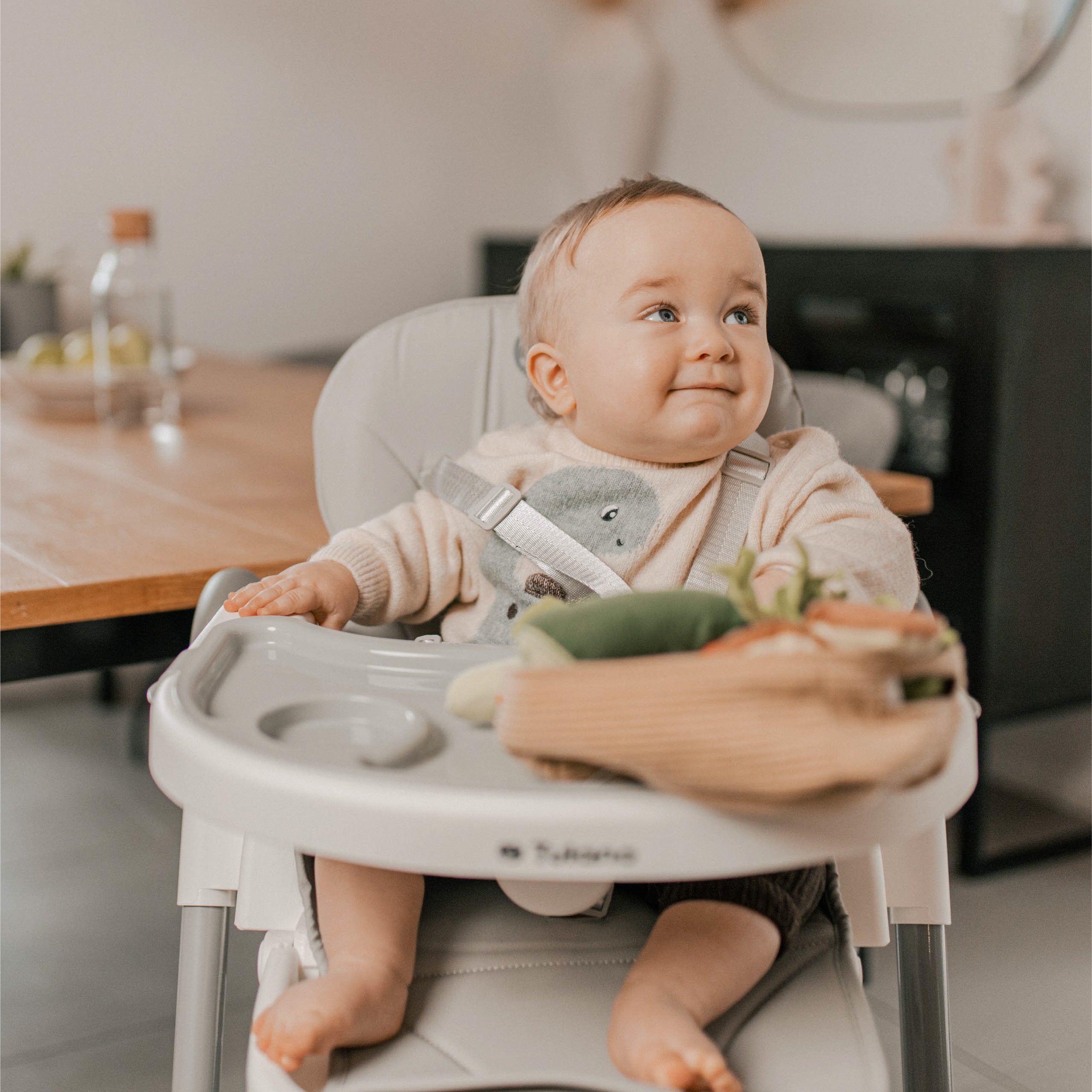 Skládací jídelní židlička Tulano Morsel 30